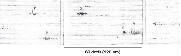Gambar 5. Salah satu contoh seismogram gempa mikro yang terekam pada 15 Sep-tember 2005, pukul 00.14