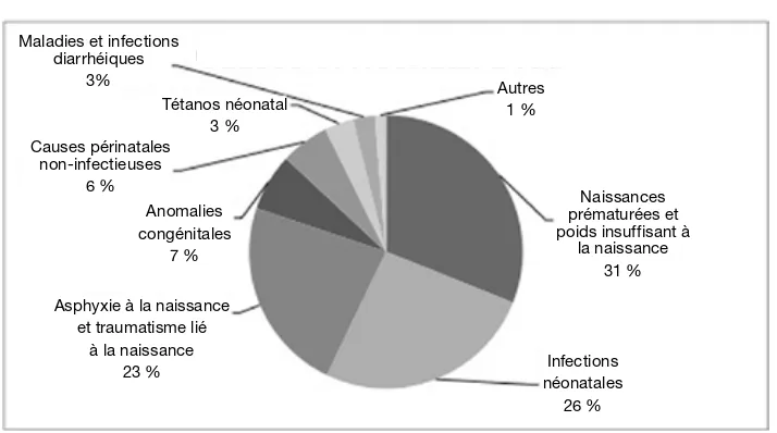 Figure 6 : causes de mortalité néonatale*
