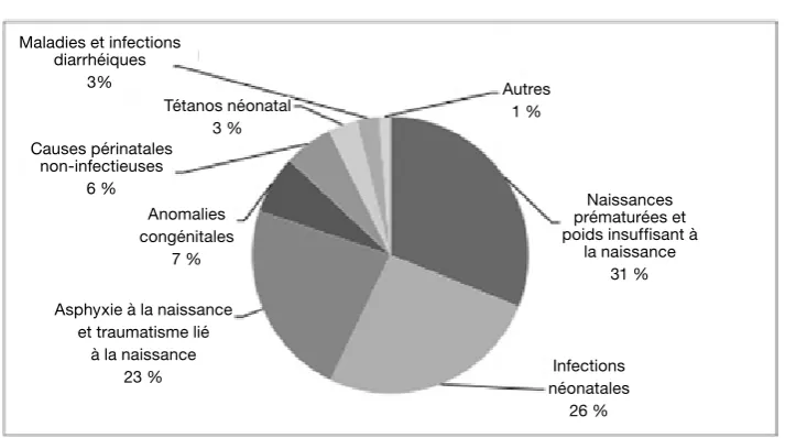 Figure 6 : causes de mortalité néonatale*