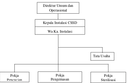 Gambar 3.2. Struktur Organisasi Instalasi Central Sterilized Supply 