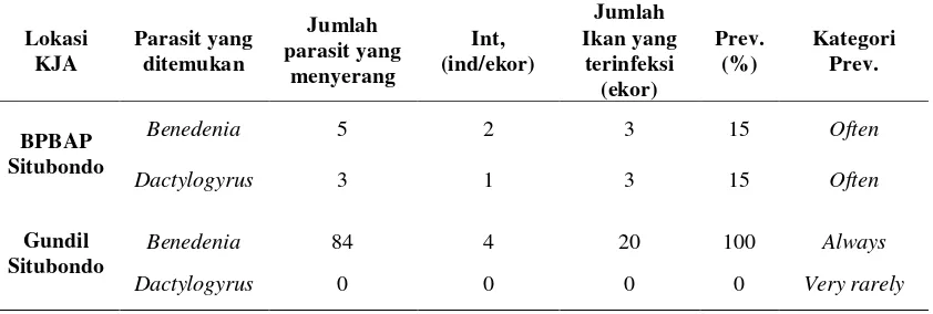 Gambar 2    Ektoparasit Spesimen 2 pada Ikan Kerapu Cantang                 Keterangan:  Ektoparasit Spesimen 2 dengan Perbesaran 10x (a) Skema Ektoparasit Spesimen 2 (b)