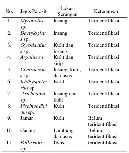 Tabel 2. Jenis-Jenis parasit yang ditemukan pada ikan air tawar yang dibudi- dayakan di Kota/ Kabu- paten Kupang 
