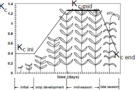 Gambar 2. Perubahan nilai Kc selama tahap pertumbuhan tanaman (Sumber: Allen et.al, 1990) 