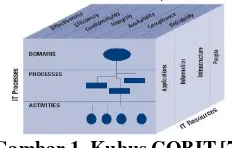 Gambar 1. Kubus COBIT   [7] 