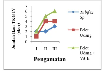 Gambar 2. Histogram jumlah ikan sepat mutiara yang mencapai tingkat kematangan gonad IV pada masing-masing peralakuan