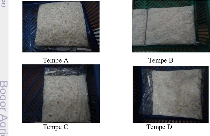 Gambar 2. Penampakan tempe kacang merah perlakuan A, B, C, dan D 