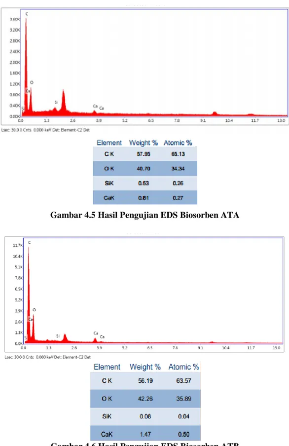 Gambar 4.5 Hasil Pengujian EDS Biosorben ATA 