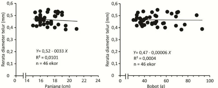 Gambar 11. Hubungan rerata diameter telur ikan gelodok terhadap panjang dan bobot pada TKG IV dan V 