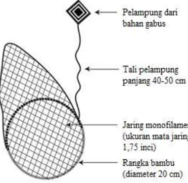 Gambar 1. Peta lokasi penangkapan ikan gelodok (anak panah) di pesisir Kecamatan Losari, Tanjung, dan Bulakamba (tanda lingkaran) 