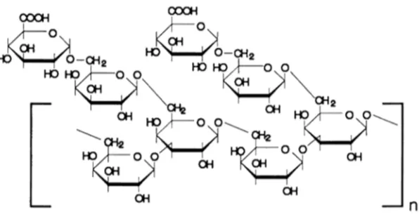 Gambar 2. Struktur kimia gum arab  