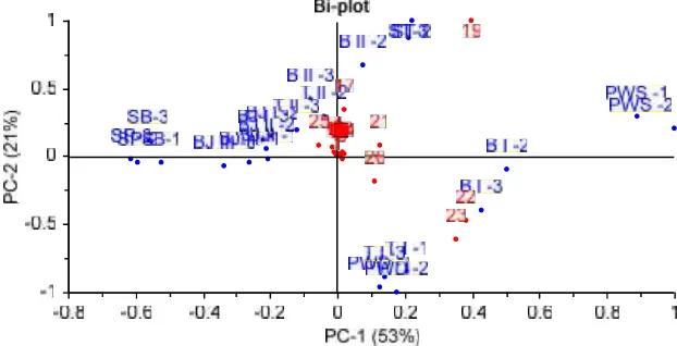 Fig. 10. Dendogram showing the Hierarchical Cluster Results for the Metabolic Profiling of(BJ) Bojonegoro, (PWD) Purwodadi, (PWS) Purwosari, (SB) West Surabaya, (SP) CenterS.androgynus from 12 locations, using Euclidean Distance and Average Linkage : (B) Batu,Surabaya, (ST) East Surabaya