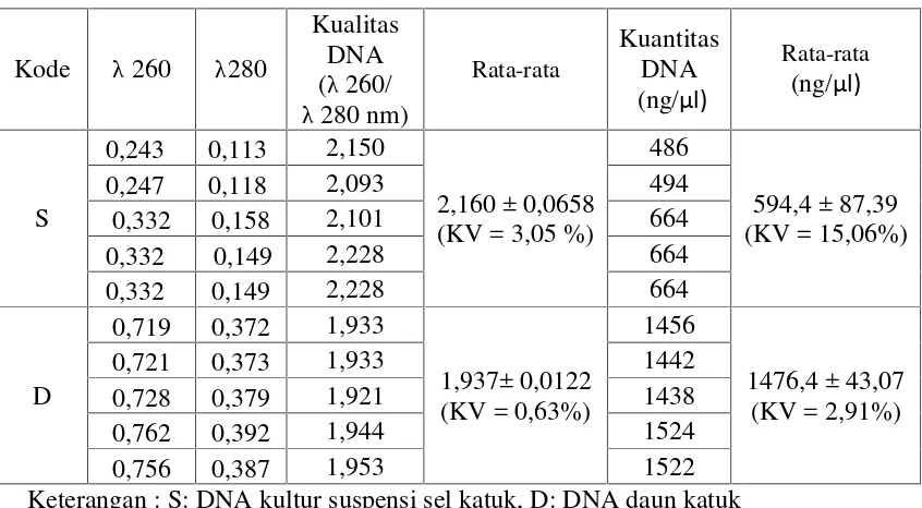 Tabel 4.2 Hasil Pengukuran Kualitas dan Kuantitas DNA Daun dan KulturSuspensi Sel Katuk