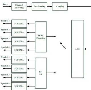 Gambar 1. Pengirim Sistem MIMO-SOFDMA 
