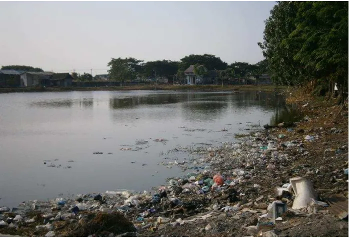 Gambar 2. Tumpukan Sampah di Area Tambak Desa Kalanganyar 