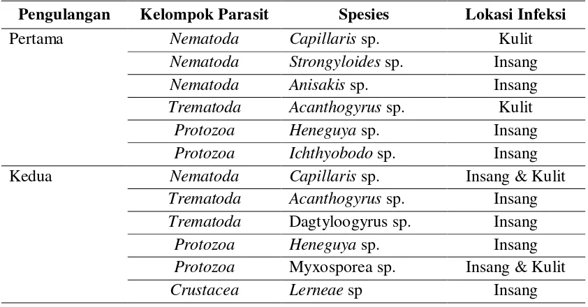 Tabel 3. Analisa Ektoparasit Ikan Bandeng (Chanos chanos) Tambak Kalanganyar 