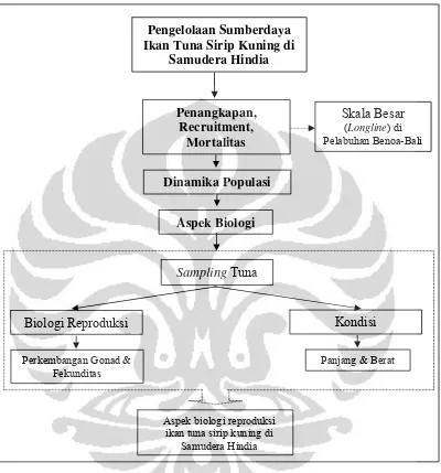 Gambar 1.1. Kerangka pikir penelitian ikan tuna sirip kuning di Samudera Hindia 