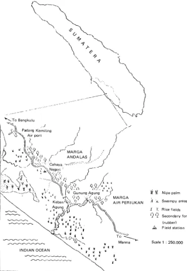 Fig. 1. Map showing study areas in South Bengkulu, Sumatera, Indonesia. 
