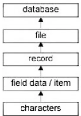 Gambar 1. Jenjang Data 1.3.  Bahasa Pemrograman VB.net