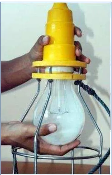 Gambar 1. Lampu Celup Dalam Air 