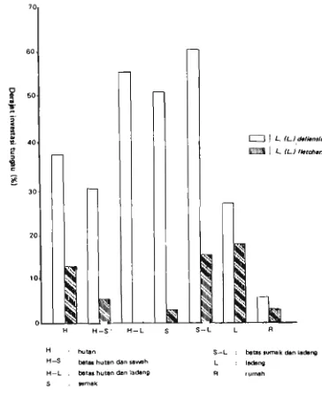 Grafik I. lnfestasi tungau L. (L.) deliensis dan L. (L.) fletcheri pada binatang mengerat yang ditangkap pada habitat yang ber- beda di desa Mulyorejo, 1982