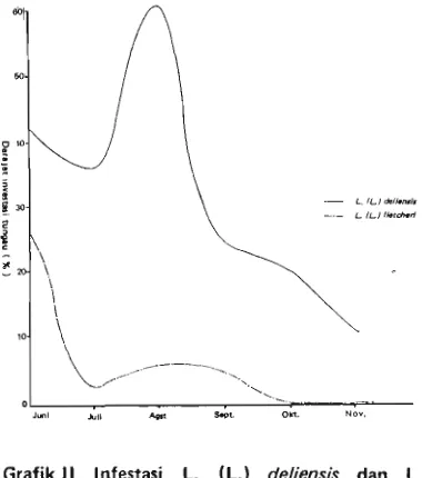 Grafik ll. lnfestasi L. (L.) deliensis dan L. (L.) fletcheri pada binatang mengerat yang ditangkap di Mulyorejo pada bulan Juni - Nopernber 1982