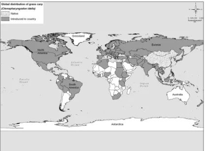 Figure 5.  Global distribution of grass carp. 