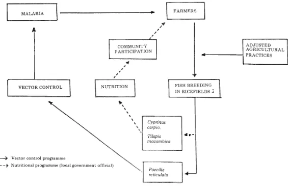 Fig. 2. Flow chart : Biological control in ricefields. 