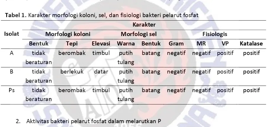 Tabel 1. Karakter morfologi koloni, sel, dan fisiologi bakteri pelarut fosfat 