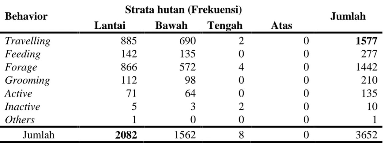 Tabel 1.  Aktivitas N. coucang di setiap ruang strata hutan pada penelitian penggunaan ruang  kukang  sumatera  (Nycticebus  coucang) di  Hutan  Lindung di KPHL Batutegi Blok Kalijernih Kabupaten Tanggamus Lampung, Februari-Mei 2014.