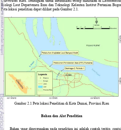 Gambar 2.1 Peta lokasi Penelitian di Kota Dumai, Provinsi Riau 
