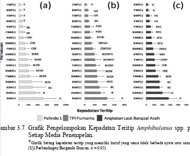 Gambar 3.7 Grafik Pengelompokan Kepadatan Teritip Amphibalanus spp. pada 