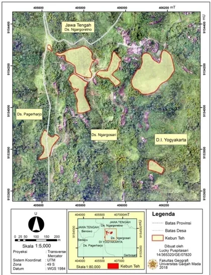 Gambar 4. Lokasi Perkebunan Teh Tritis, Kulon Progo (Foto Udara, 2018  dan Survei  Lapangan, 2017-2018)
