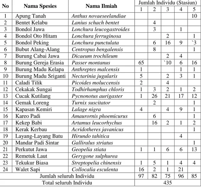 Tabel 1. Spesies-spesies Burung dan Jumlah Individu pada Lima Stasiun Pengamatan di  Kampus UIN Raden Intan Lampung 