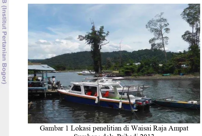 Gambar 1 Lokasi penelitian di Waisai Raja Ampat 