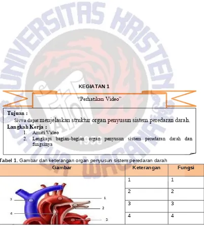 Tabel 1. Gambar dan keterangan organ penyusun sistem peredaran darah
