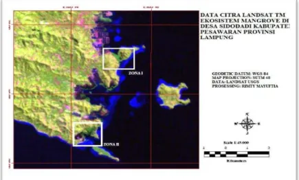 Gambar  1.  Peta  Daerah  Penelitian  Zona  I  dan  Zona  II  Ekosistem  Mangrove  di  Desa  Sidodadi,  Ringgung,  Kabupaten Pesawaran, Provinsi Lampung Data Citra Satelit Landsat TM