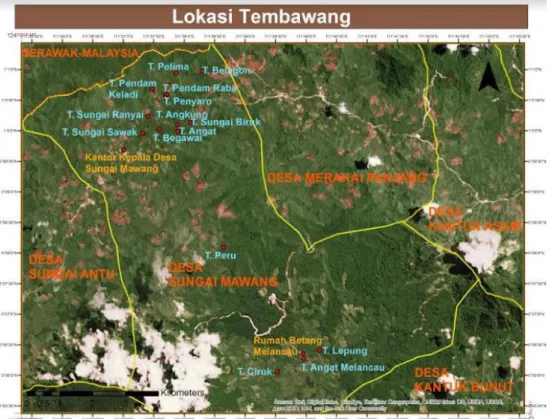 Gambar 1  Lokasi tembawang yang ada di Dusun Sungai Mawang  Berdasarkan  famili/suku  tumbuhan  yang  paling 