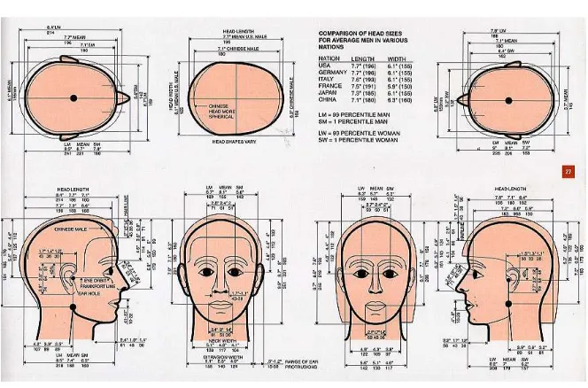 Figure 5. Athropometri data for human head Source http://www.head_measurement_for_man_and_woman.com 