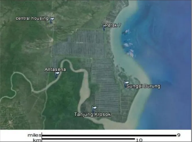 Gambar 1.  Peta areal tambak PT. Central Pertiwi Bahari (Sumber : Google Earth, 2014) 