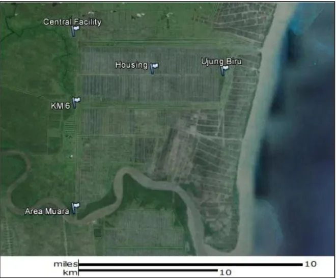 Gambar 2.  Peta lokasi survei areal tambak PT. Central Proteinaprima (Sumber :  Google Earth, 2014) 