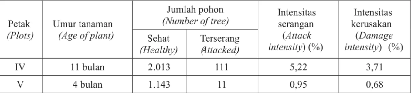 Tabel 4. Rekapitulasi intensitas serangan dan intensitas kerusakan akibat serangan pada tanaman jati