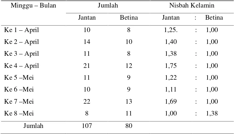 Tabel 2. Nisbah kelamin jantan : betina ikan seluang(Rasbora argyrotaenia) untuksetiap tingkat kematangan gonad (TKG).