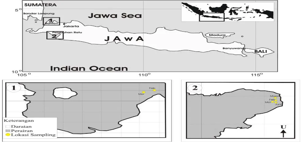 Gambar 1 Lokasi sampling, yaitu: 1) Teluk Banten dan 2) Pelabuhan Ratu. 