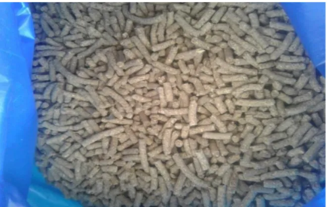 Gambar 2. Pakan (Pellet)  Pembuatan Probiotik  