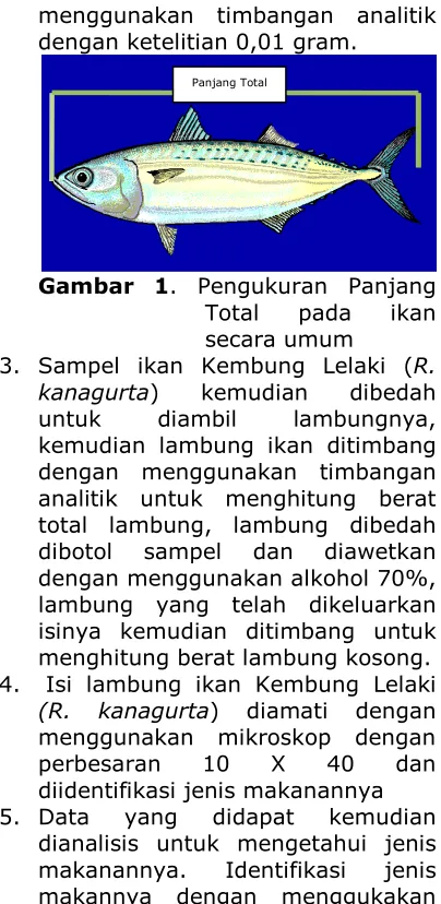 Gambar 1 . Pengukuran Panjang 