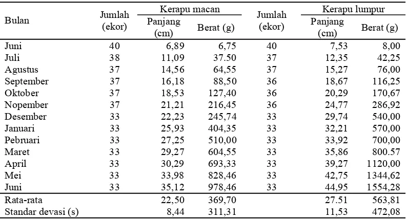 Tabel 1. Hasil penagamatan pertumbuhan panjang rata-rata dan berat rata-rata ikan kerapu macan  (E