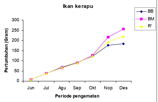 Gambar 5. Kecepatan pertumbuhan panjang ikan kerapu bebek (PB), kerapu macan (PM), dan rata-rata (R’)  Figure 5
