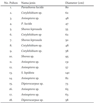 Tabel 1. Jenis dan diameter (cm) pohon dipterocarpaceae di lokasi penelitian Table 1. Species and diameter (cm) of dipterocarpaceae trees in research site