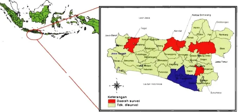 Gambar 1. Lokasi penelitian meliputi 4 kabupaten dan 1 kota di Propinsi Jawa Tengah 2006 