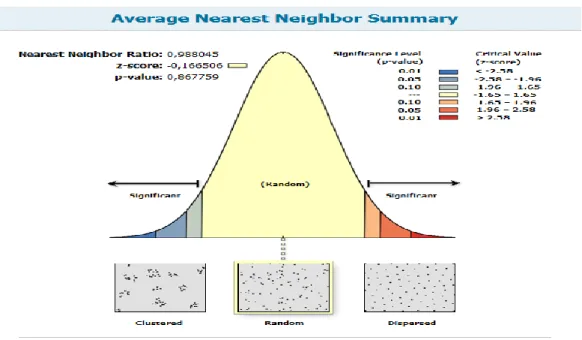 Gambar 2. Hasil pengolahan data dengan teknik Average Nearest Neighbor 